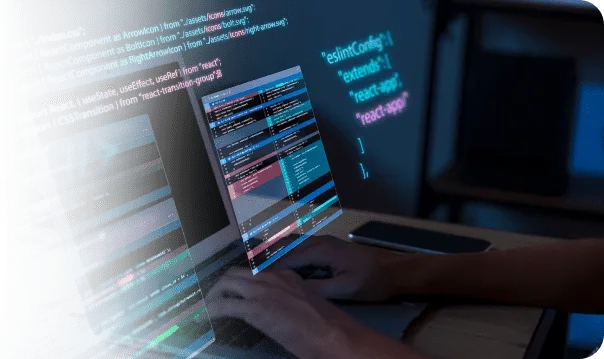 Custom Software Development